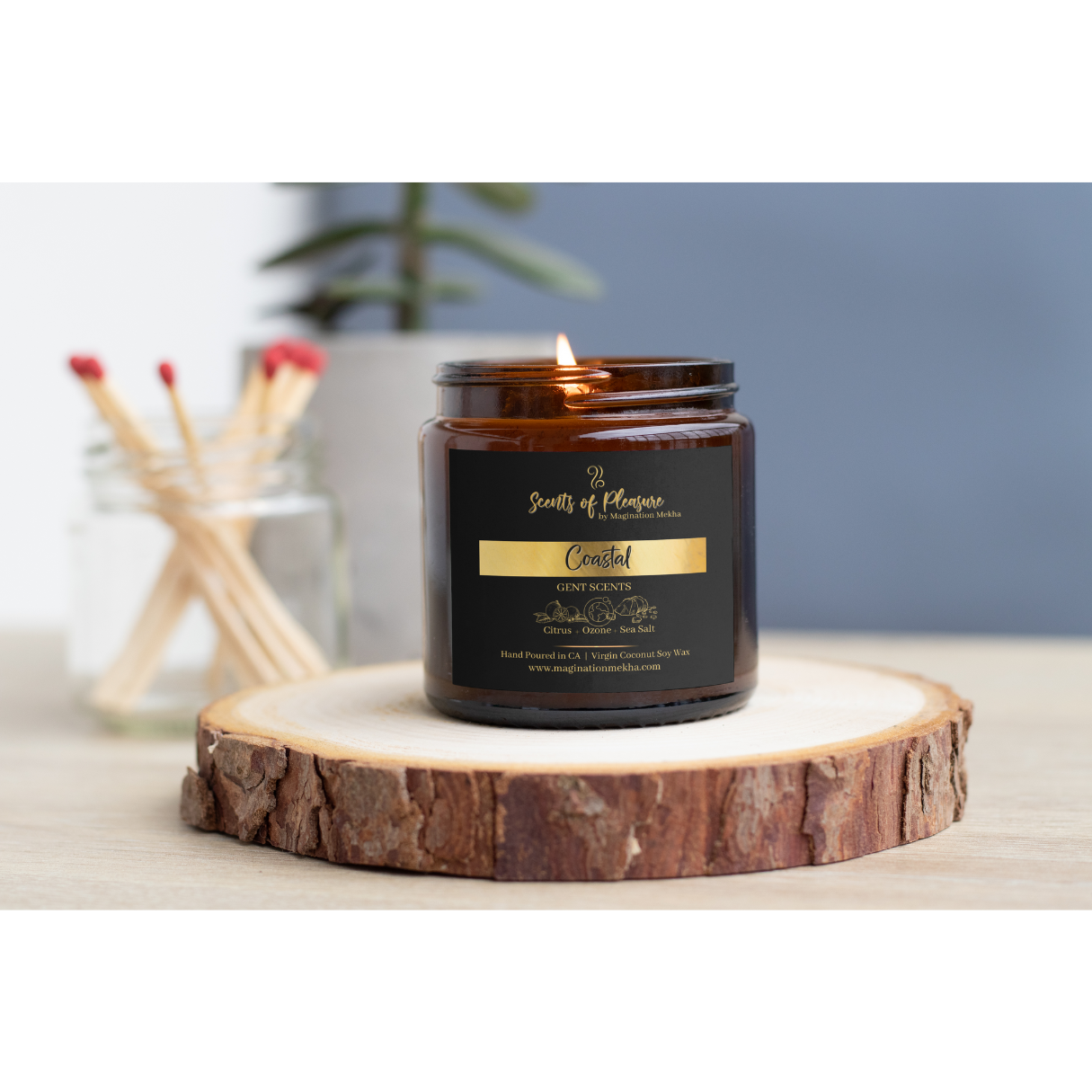 Coastal - Luxury GENT Scents